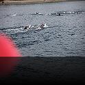 Comen Cup 2009 431
